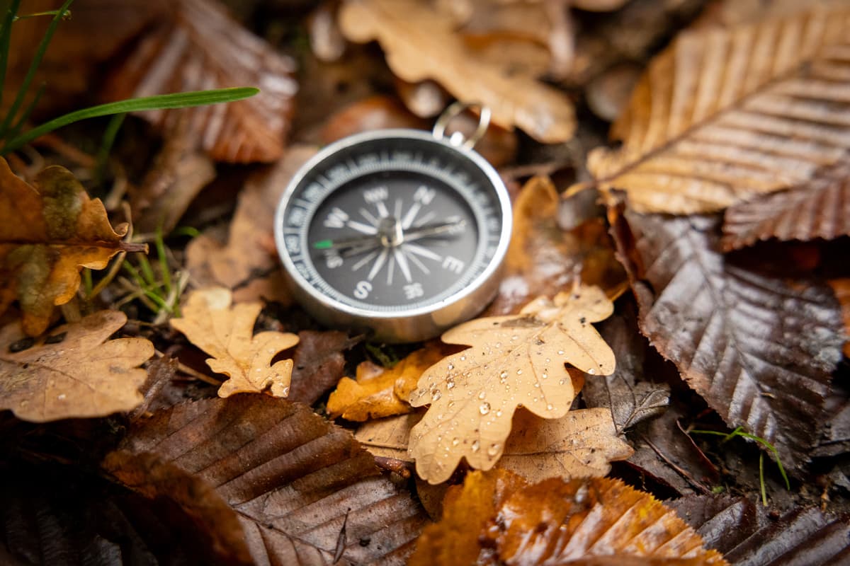 Een kompas ligt tussen natte herfstbladeren op de bosgrond