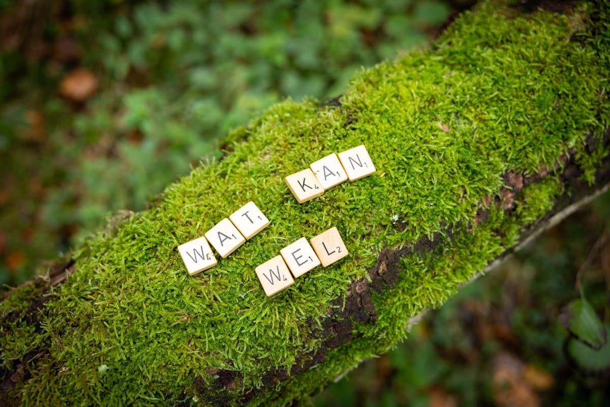 Scrabbleletters op een bemoste tak vormen de woorden: Wat kan wel