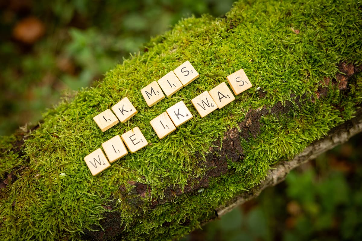 Scrabbleletters op een bemoste boomstam vormen de woorden: Wie ik was